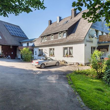Ferienwohnungen Lindenhof Willingen  Eksteriør bilde